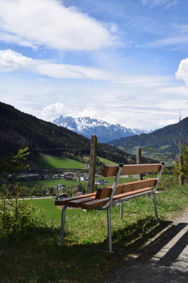 Appartement Baer Eben Im Pongau Exterior foto